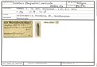 Karteikarte zum Holotyp von Cristellaria (Marginulina) crassicosta Karrer, 1870